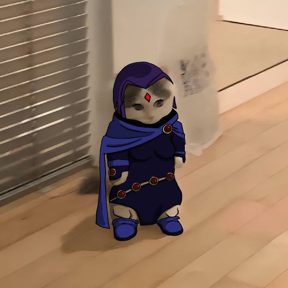 tv teen titans raven