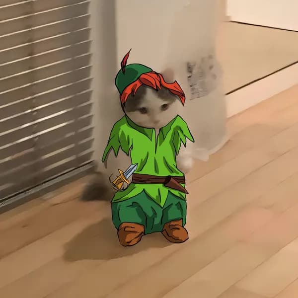 tv robinhood