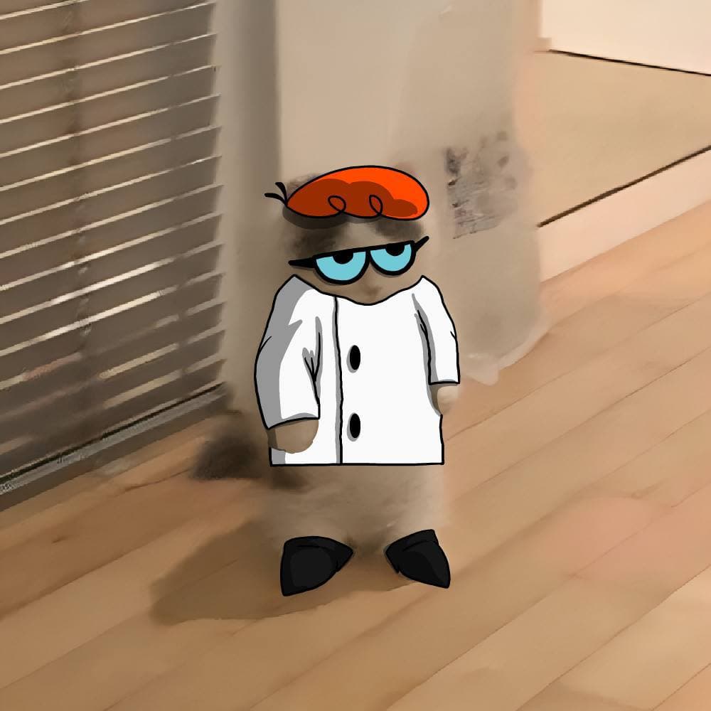 tv dexters laboratory dexter