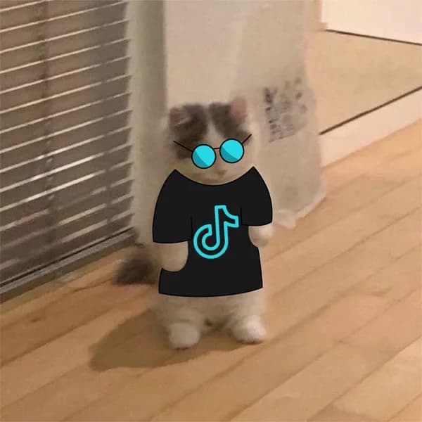 tiktok