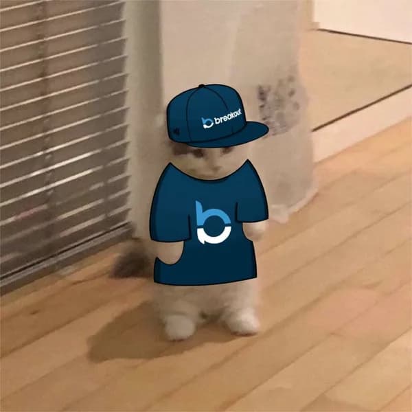 tradermayne kol influencer