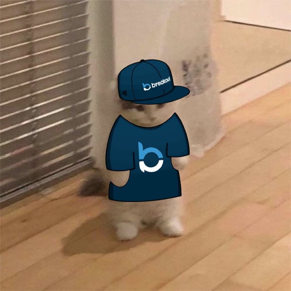 tradermayne kol influencer