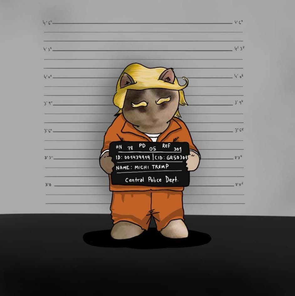 donald trump jail mugshot