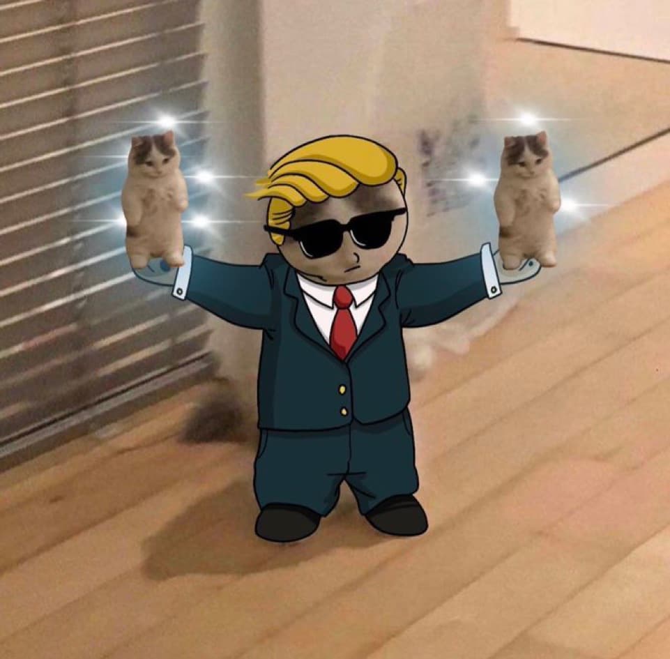donald trump wsb