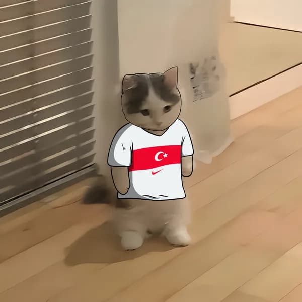 Ay-Yıldızlılar Michi