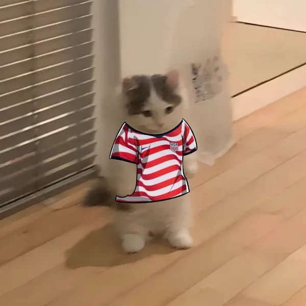 USMNT Michi