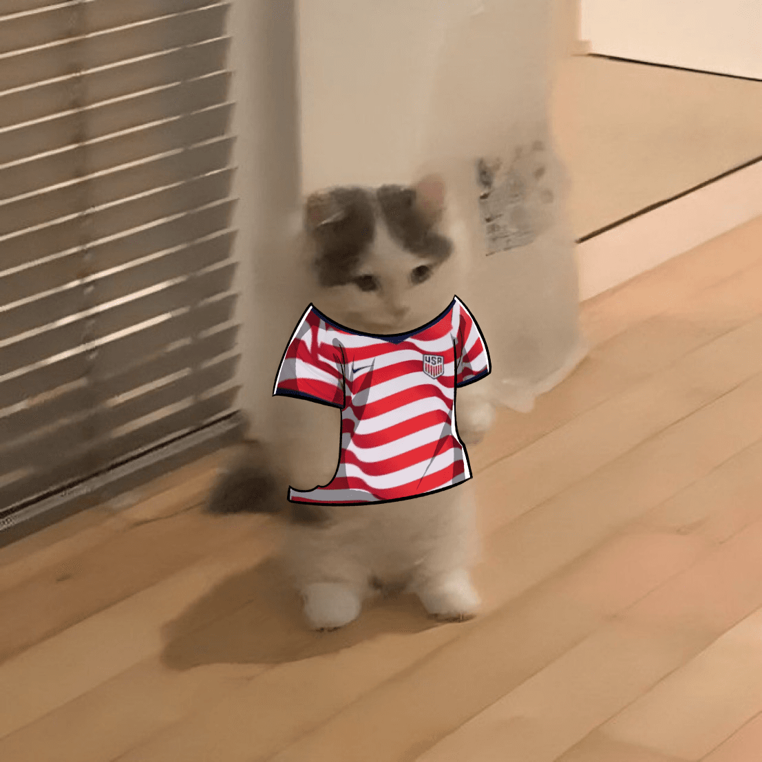 USMNT Michi