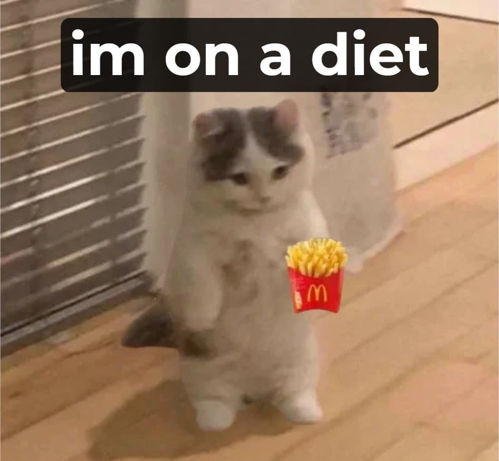 diet funny newyearresolutions mcdonalds