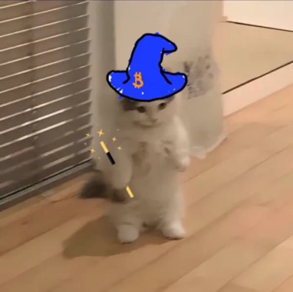 wizard btc