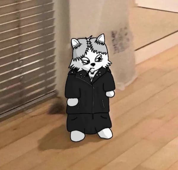 wolfofcryptostreets kol influencer