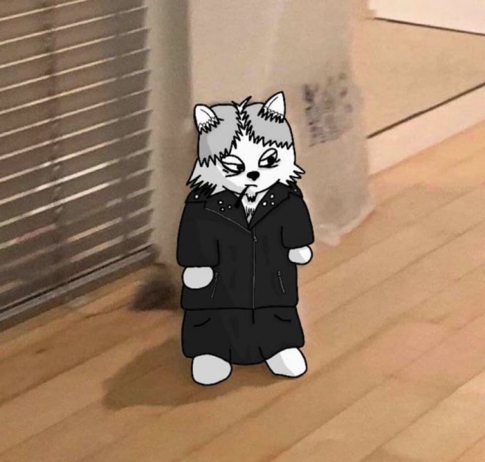 wolfofcryptostreets kol influencer