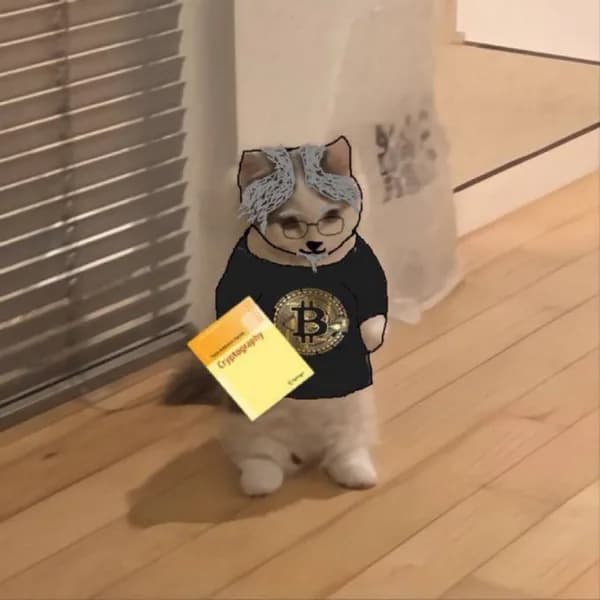 bitcoin btc michaelsaylor
