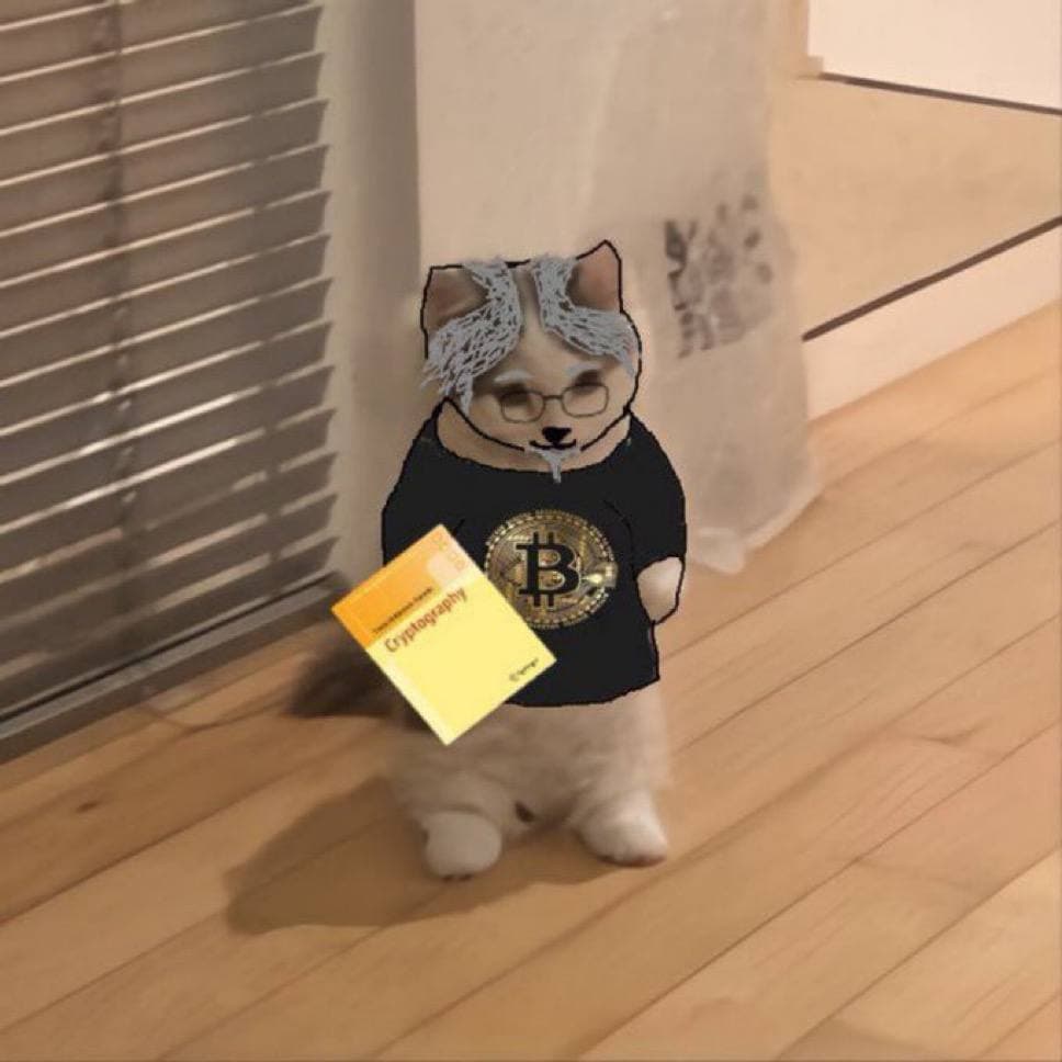 bitcoin btc michaelsaylor