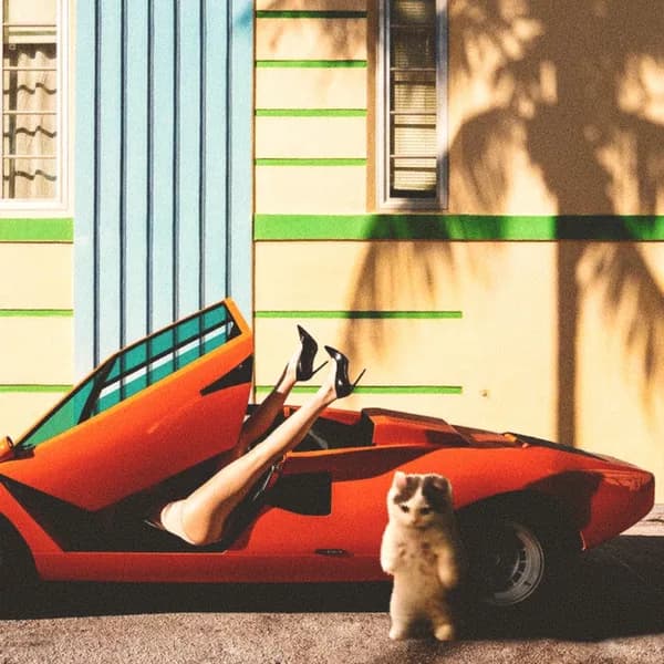 aesthetic car girl