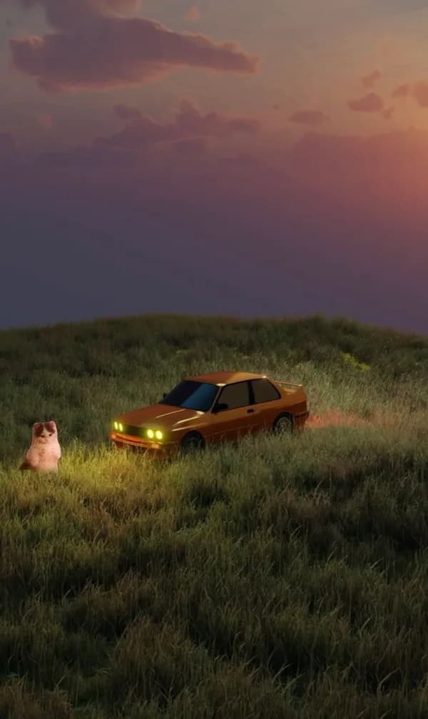 aesthetic car nature