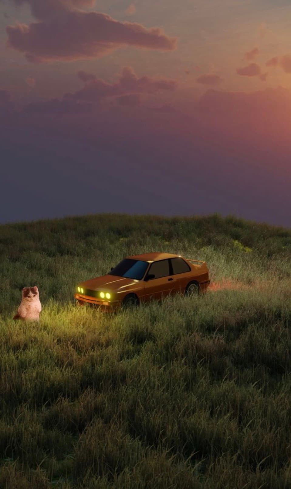 aesthetic car nature