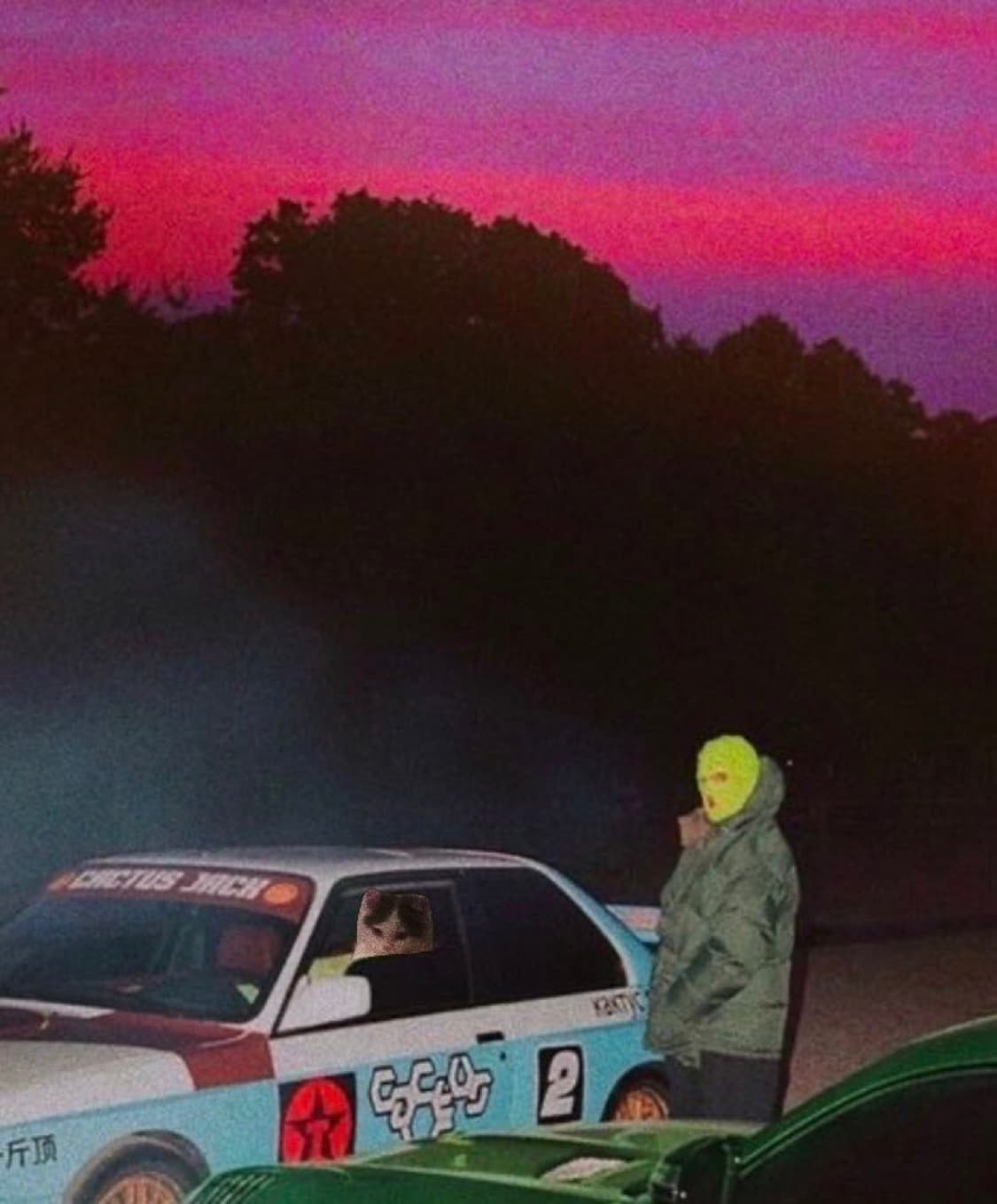 car girl sunset
