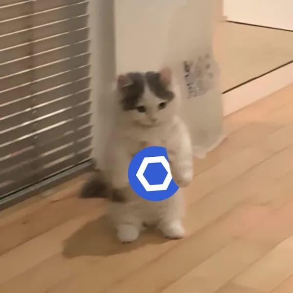 chainlink