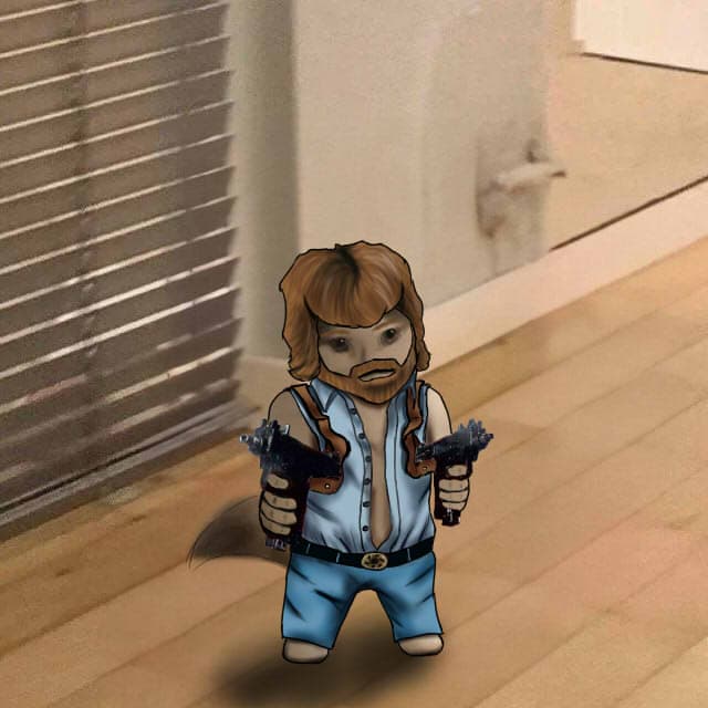 chuckmorris celebrity gun weapon