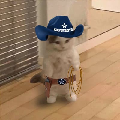 cowboys nfl team dallas