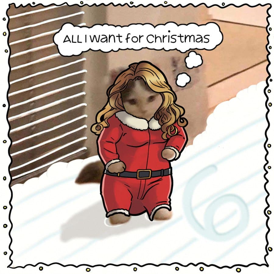 christmas advent xmas want mariah