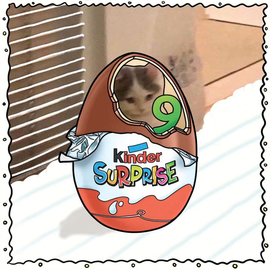 christmas advent xmas egg