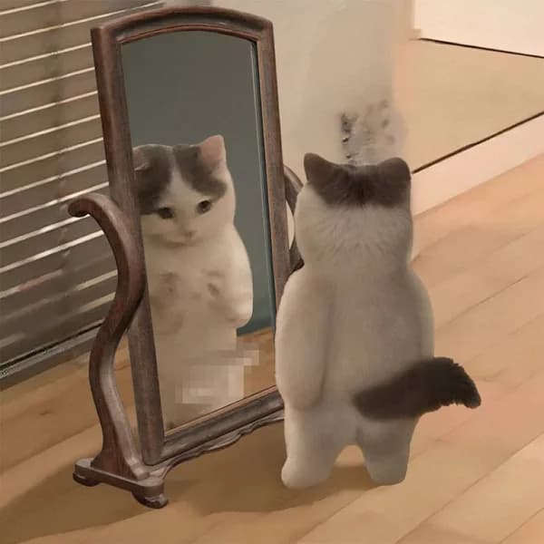 dick mirror penis