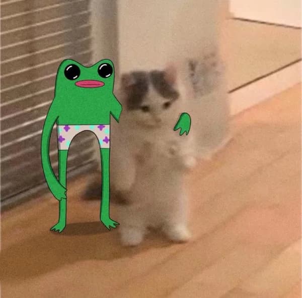 fwog frog