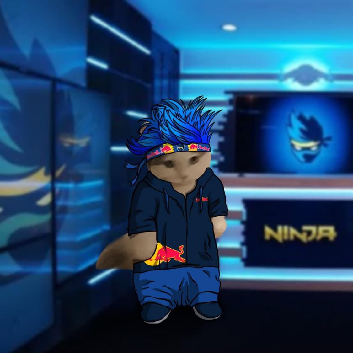 gaming ninja streamer