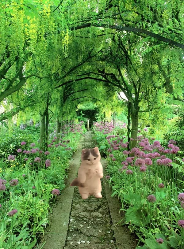 garden green grass bullish