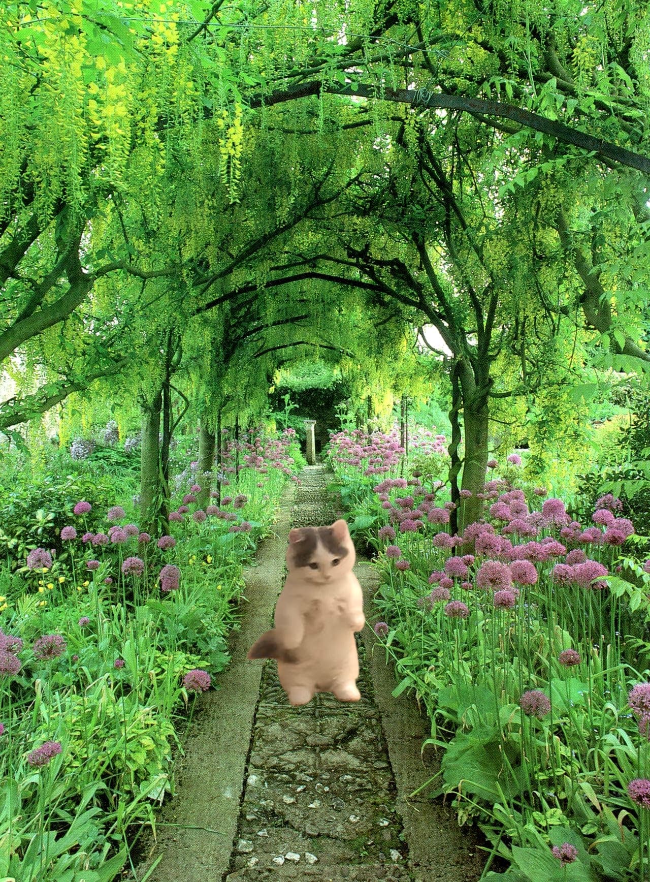 garden green grass bullish