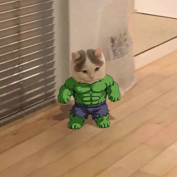 Hulk michi