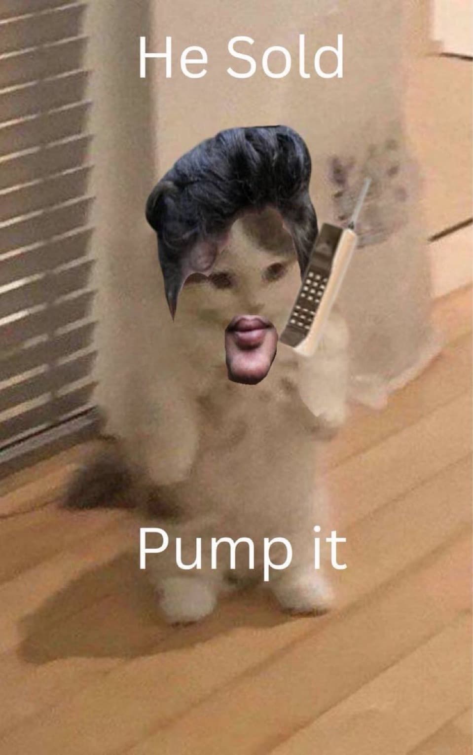 hesold pumpit