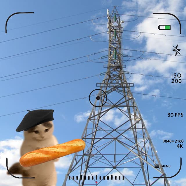 french france bread hat baguette