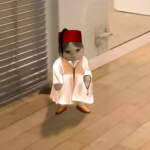 habibi