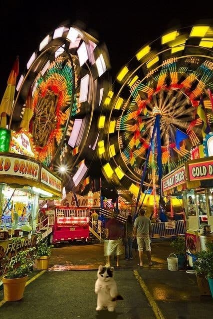 amusementpark ferriswheel