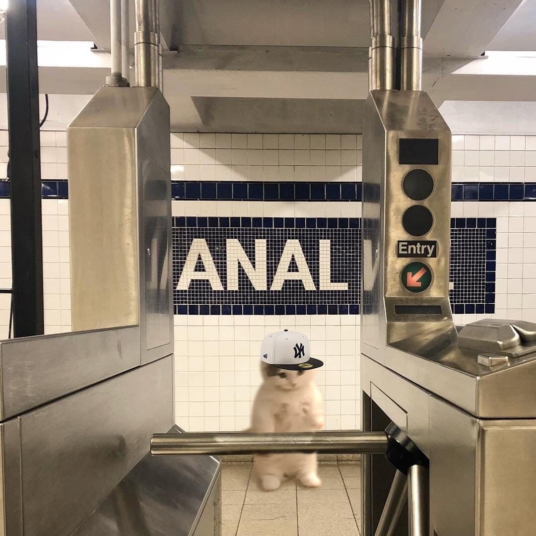 anal subway metro hat