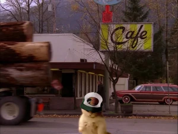 cafe bass pro hat