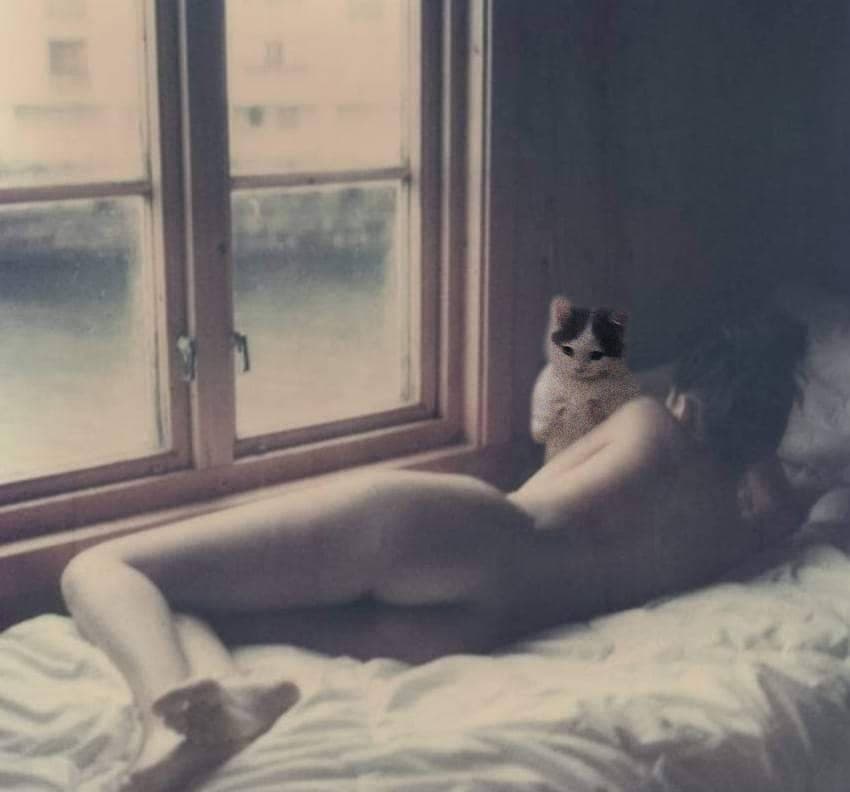 ass butt nsfw girl bed