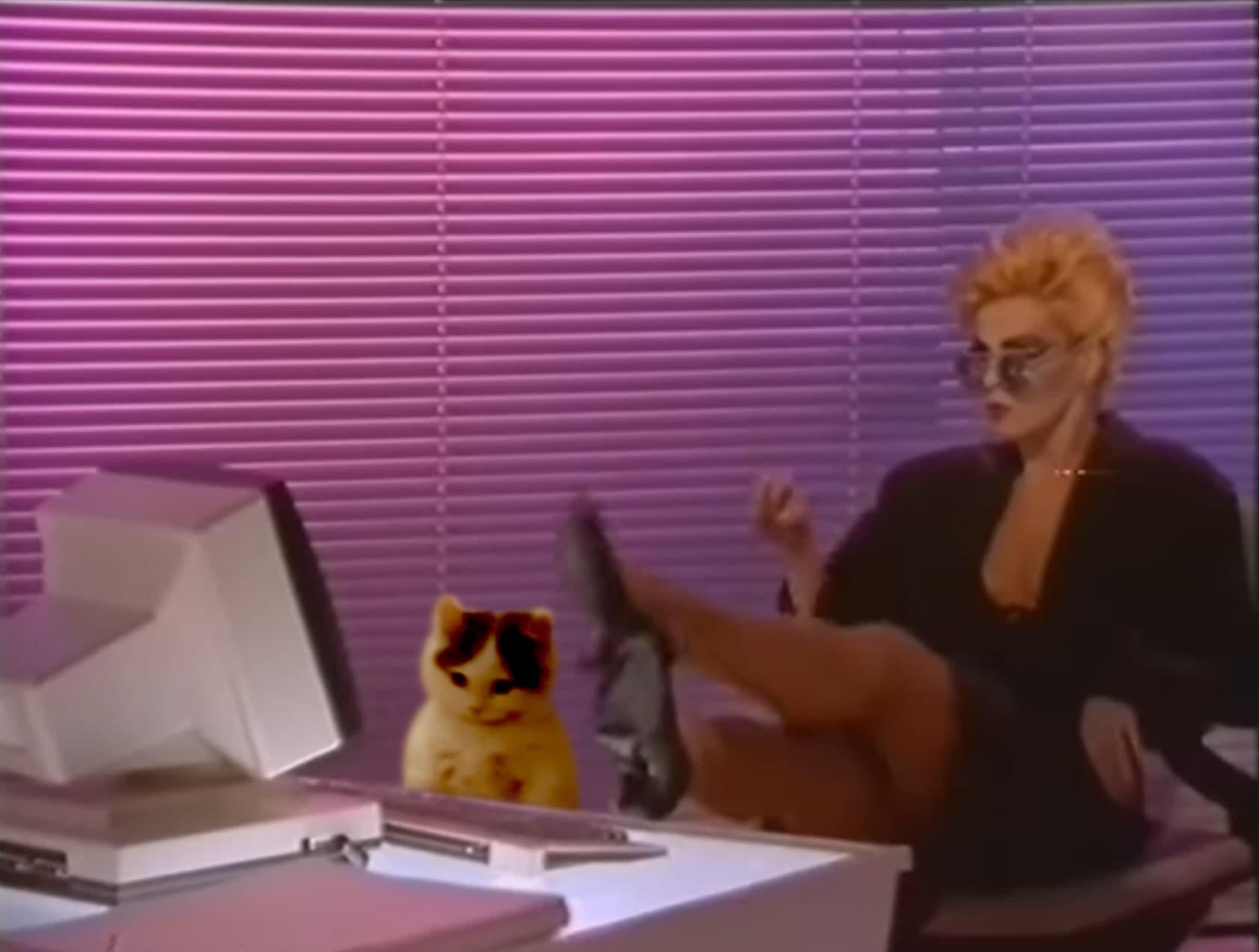 computer blonde girl browsing table work job