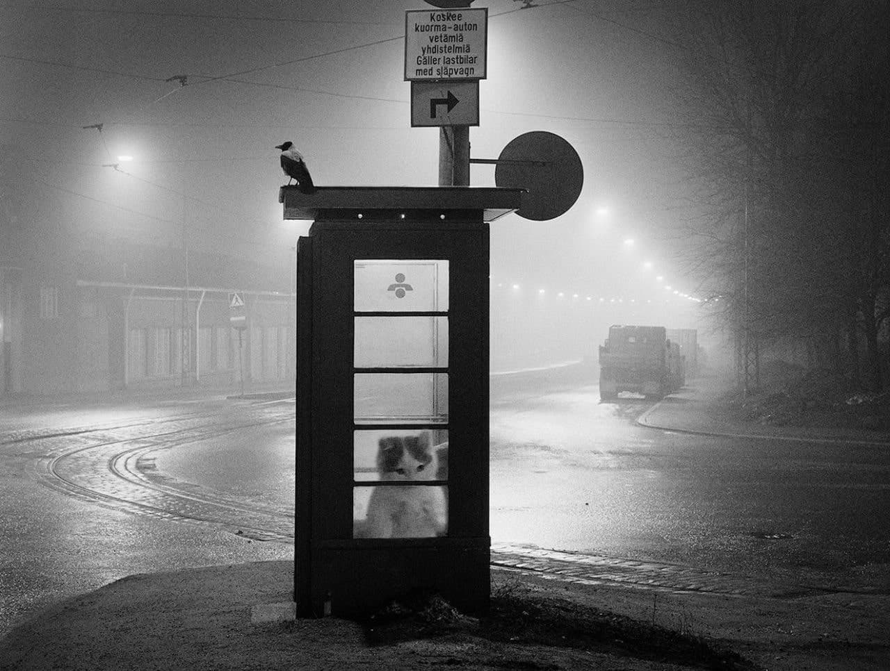 phonebooth call night vibe mood