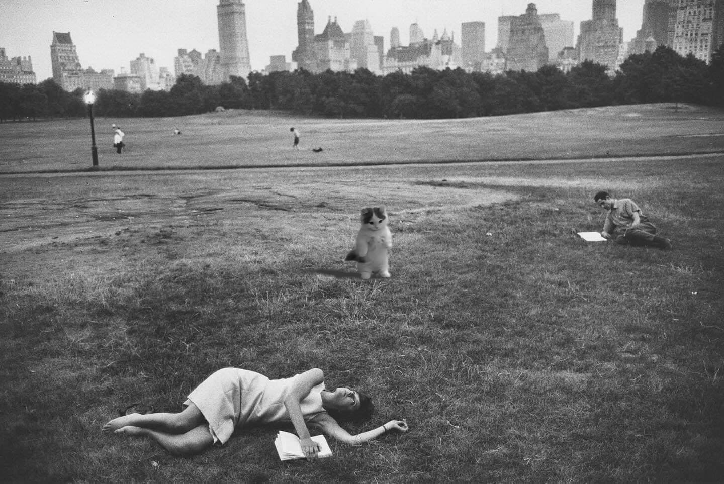 central girl grass park outdoors