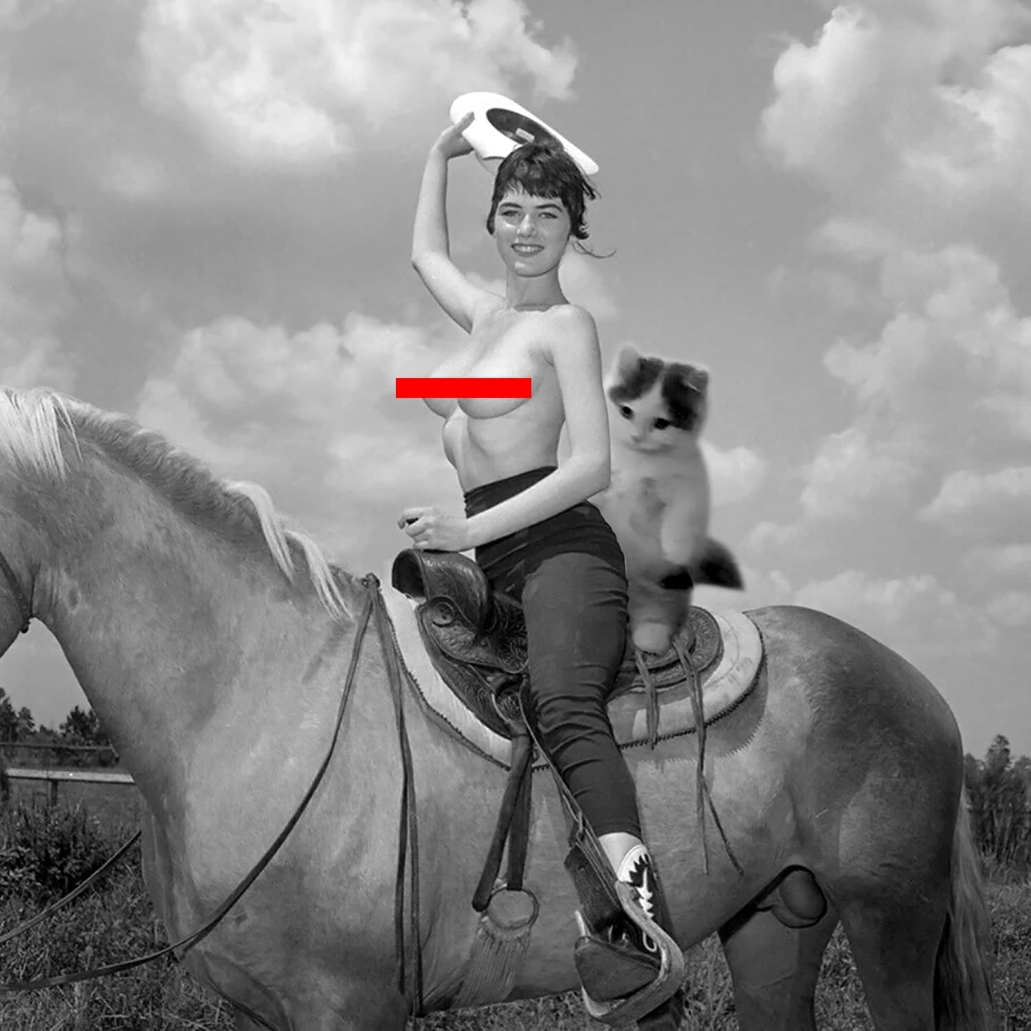 boobs girl nsfw horse cowboy cowgirl tits