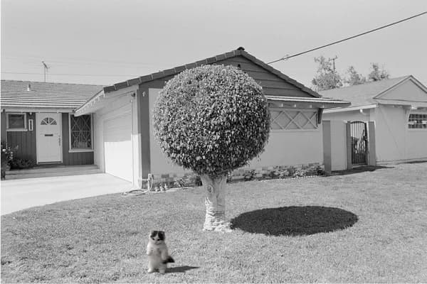 house outdoors tree