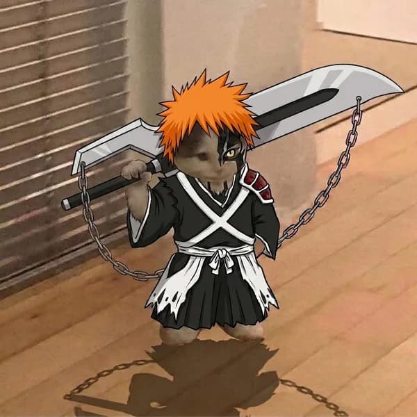 Ichigo Horn of Salvation
