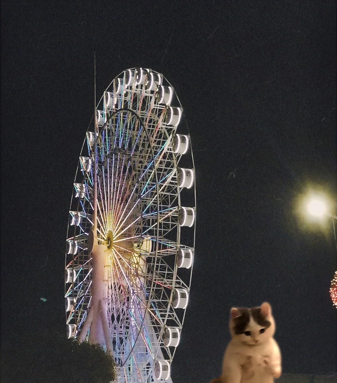 ferriswheel outdoors night amusementpark