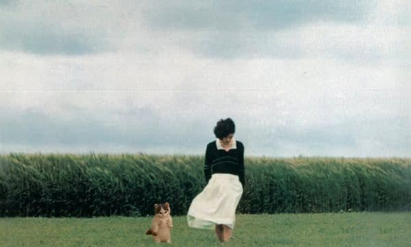 girl grass outdoors fields