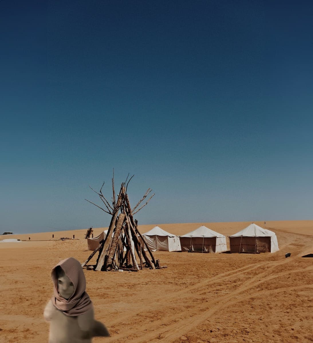 desert outdoors grass heat