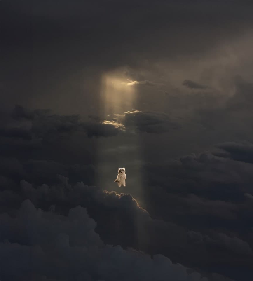 higher up manifest clouds sky mood vibe