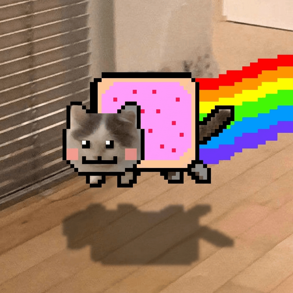 Nyan Michi
